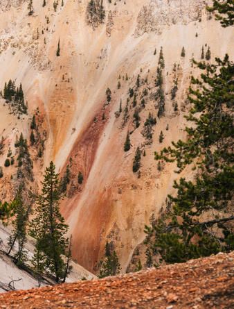 Amangani, Jackson Hole - Experience, Yellowstone National Park